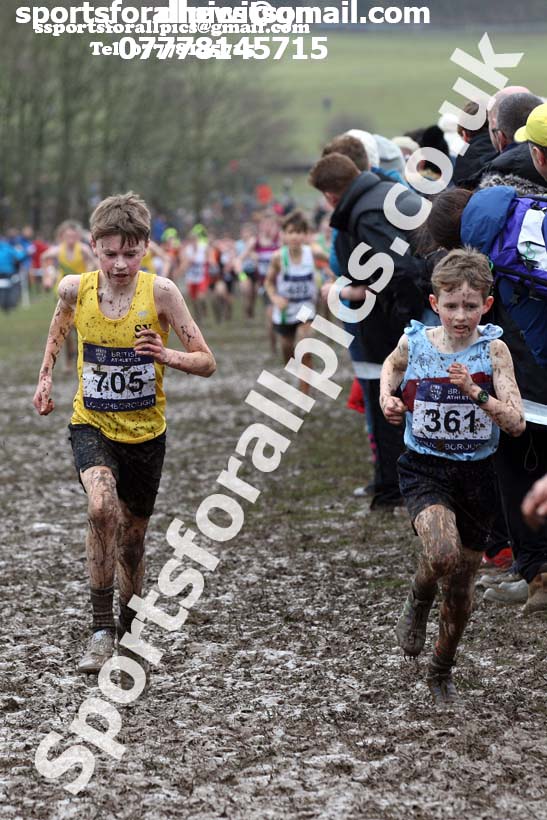 Boys under-13s 2018 British Inter Counties Cross Country Champs., Prestwold Hall, Loughborough. Photo: David T. Hewitson/Sports for All Pics